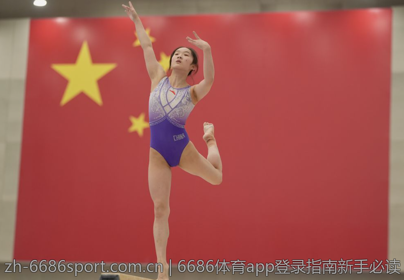 6686体育app登录指南新手必读